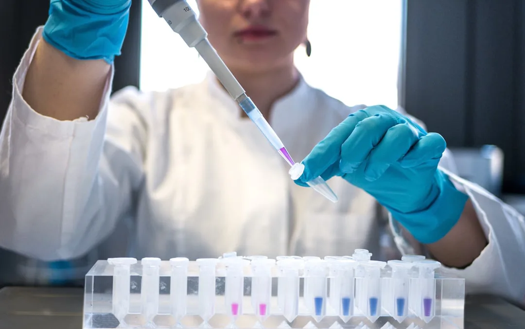 Descubren la cisteína, un aminoácido clave para la autoreparación intestinal en mamíferos