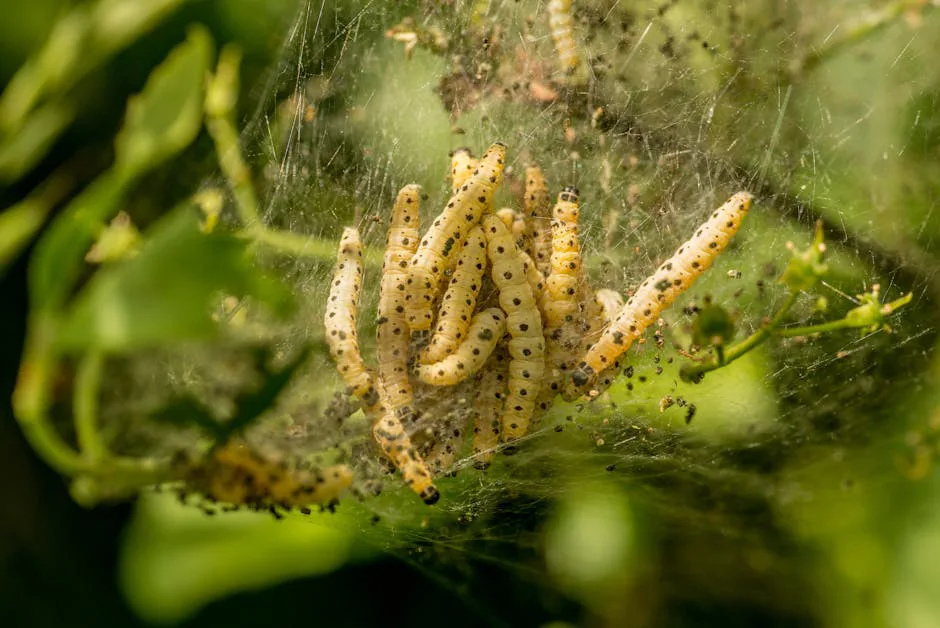 Foto: Petr Ganaj / pexels A detailed shot of yellow-black caterpillars huddled in a web nest on a green branch outdoors.