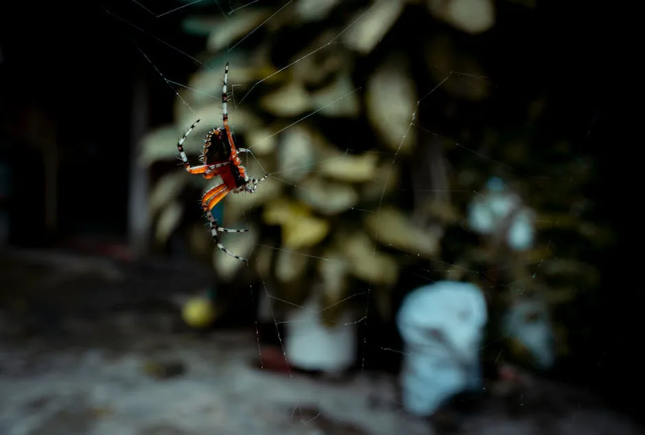 Descubren araña 'Happy-Face' en el Himalaya indio, desafiando su origen hawaiano