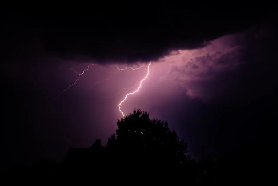 ¡Árboles que brillan con electricidad! Un fenómeno natural que limpia el aire