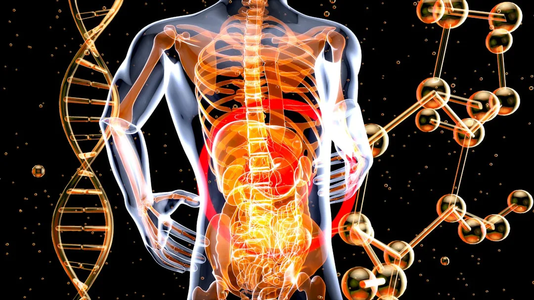 El secreto de la juventud podría esconderse en nuestro intestino