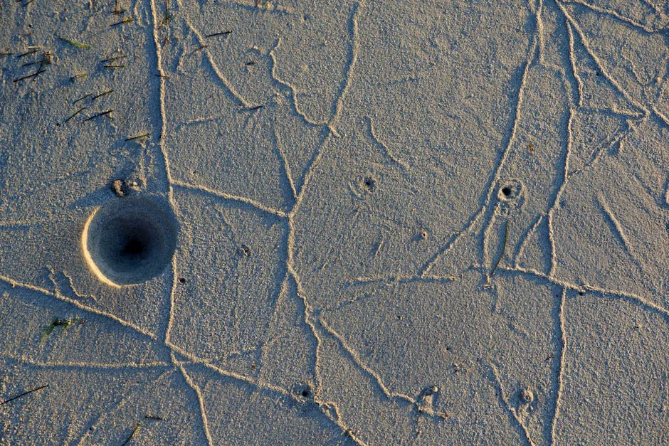 Detailed texture of sand with crab trails and a burrow, capturing natural patterns on a beach surface.
