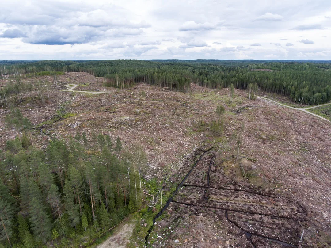 Foto: Greenpeace Finland / unsplash a large area of trees that have been cut down
