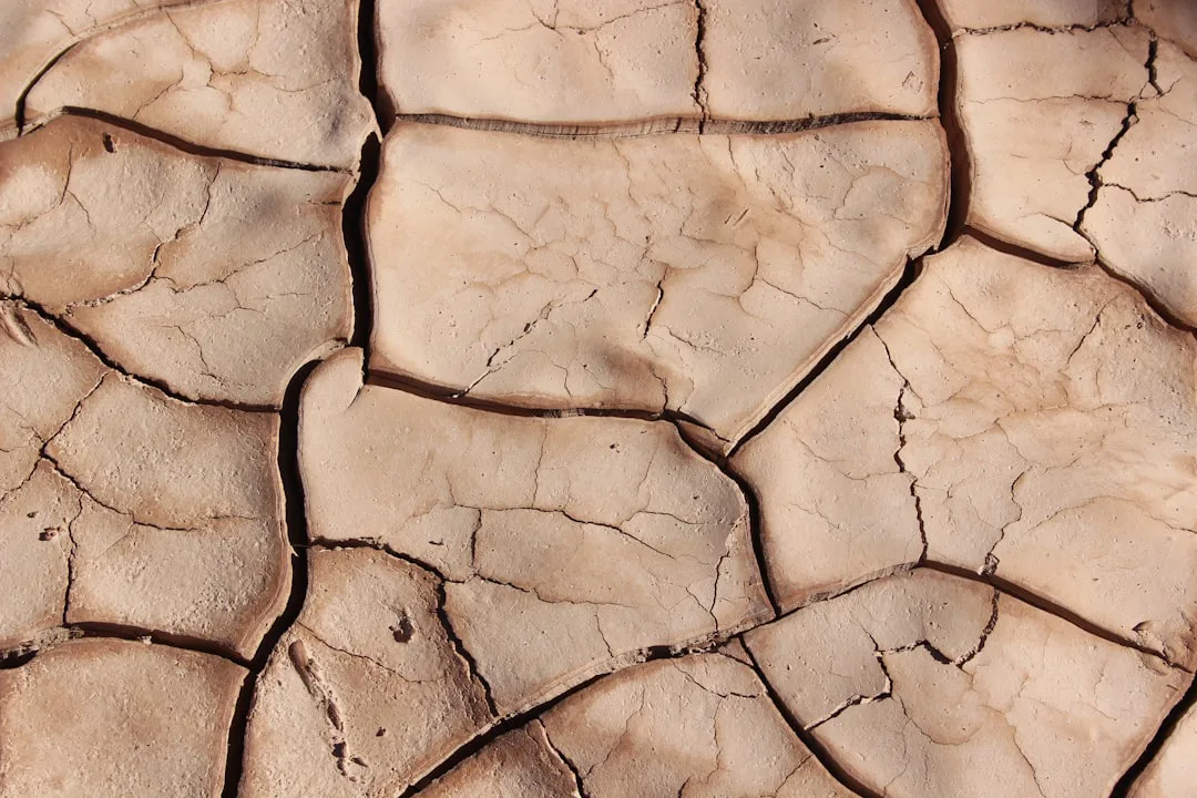 Foto: Brad Helmink / unsplash dried soil