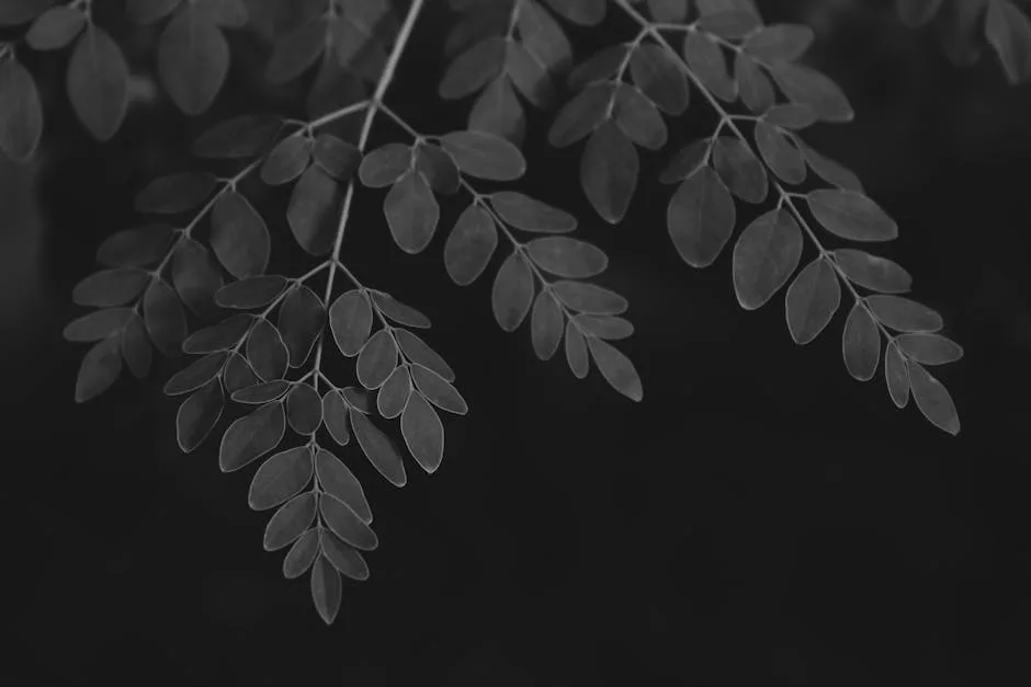 Moringa: la planta milagrosa que podría limpiar tu agua de microplásticos