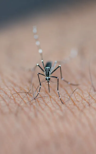 ¿Qué pasaría si elimináramos a todos los mosquitos?