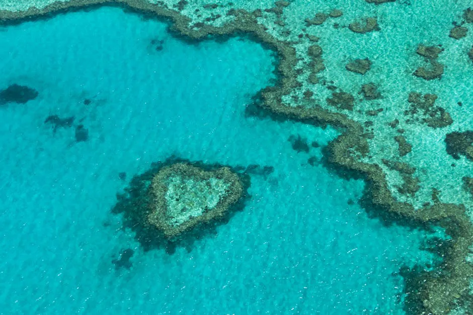 Foto: Eclipse Chasers / pexels Stunning aerial shot of the heart-shaped coral formation in the Great Barrier Reef, Australia.