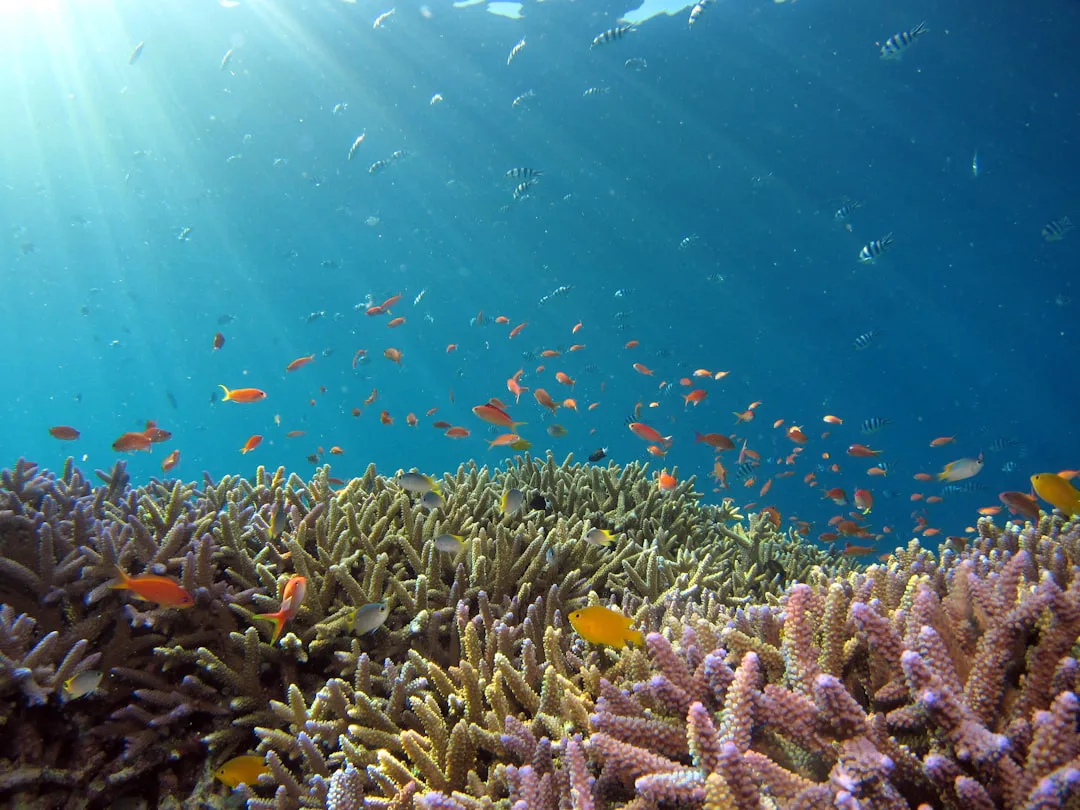 El ADN ambiental revela cómo el cambio climático y la actividad humana reconfiguran las comunidades de peces