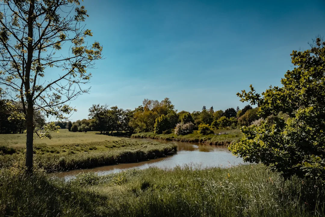 Alerta en los ríos de Inglaterra: ¿Es seguro nadar en sus aguas naturales?