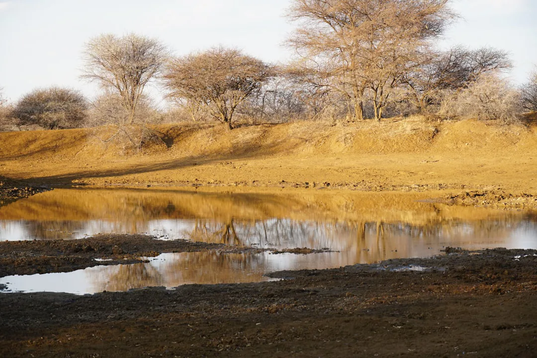 El pez pulmonado africano sobrevive 5 años sin agua