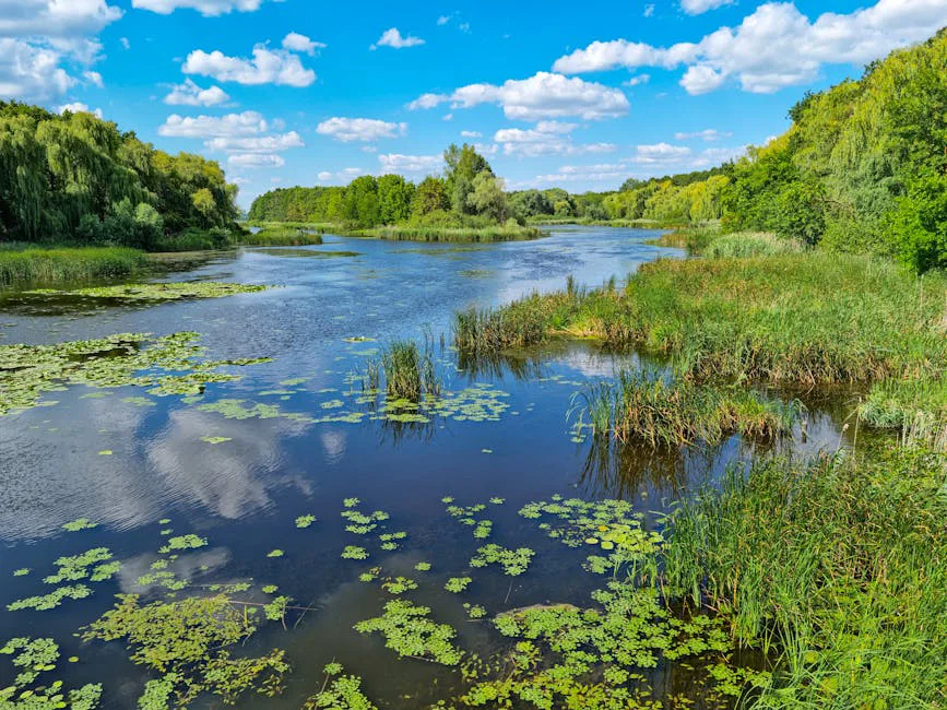Foto: András Nyemczovszky / pexels Peaceful wetland scene with lush greenery and a tranquil lake reflecting blue sky and clouds.