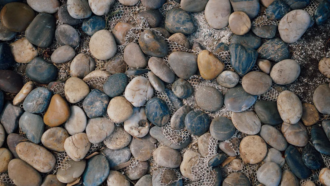 Foto: SHTTEFAN / unsplash assorted-color pebble lot