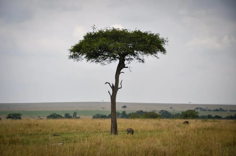 Sabana africana: un mosaico de supervivencia extrema, del desierto al pastizal