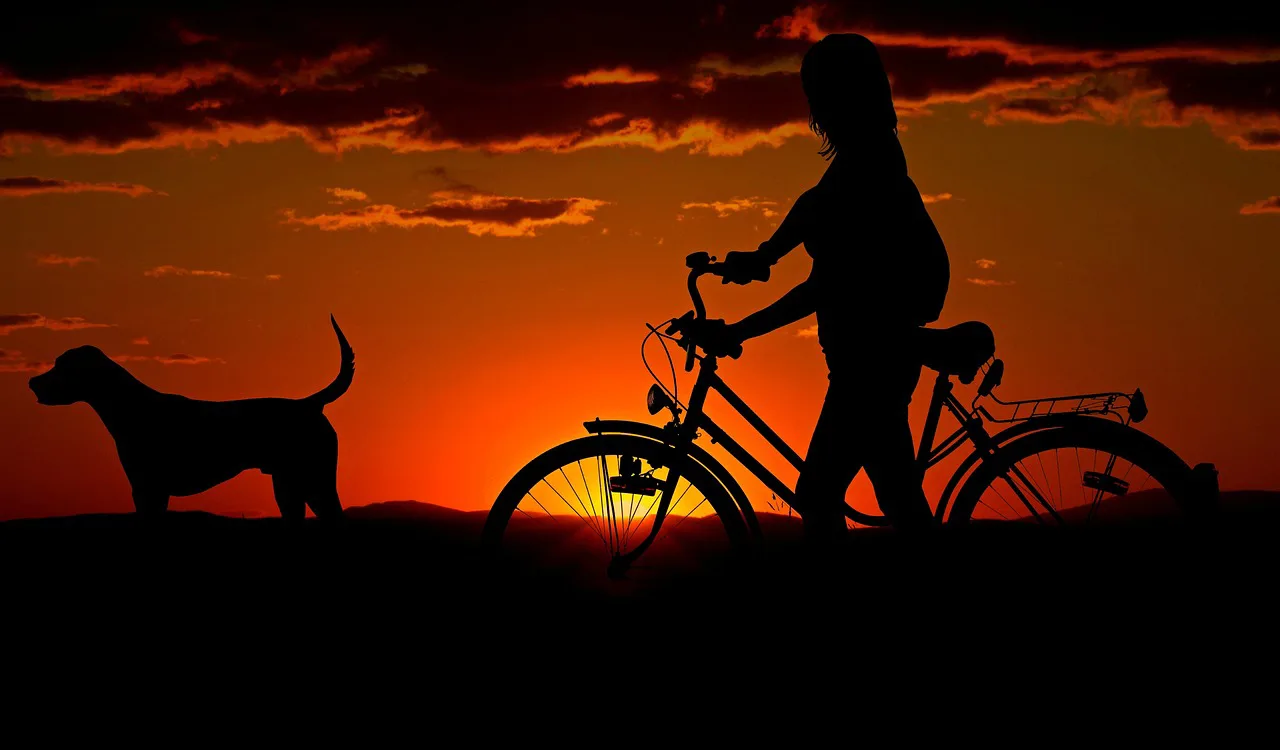 Foto: cocoparisienne / pixabay woman, bike, sunset, walk, silhouettes, girl, dog, pet, owner, travel, dusk, animal, nature, twilight, backlighting, orange sky, afterglow