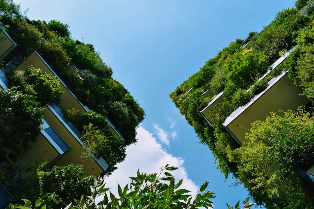 Ciudades verdes: cómo la naturaleza protege nuestros hogares del cambio climático