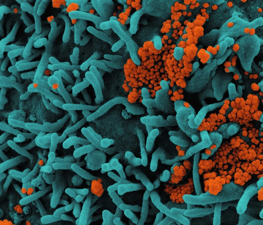Foto: National Institute of Allergy and Infectious Diseases / unsplash a close up of an orange and blue substance