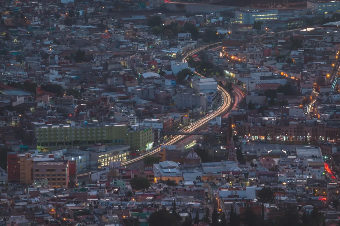 Luces de la ciudad: ¿apagar a medias basta para la vida silvestre?