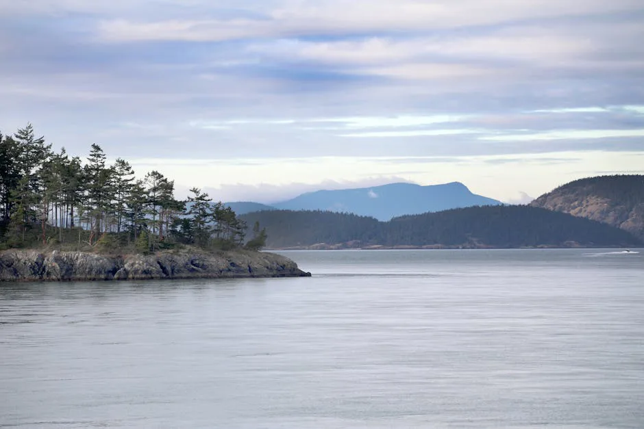 Foto: Steve Tingley / pexels Tranquil coastal scene with natural landscape near Seattle, WA, showcasing trees and water under a serene sky.