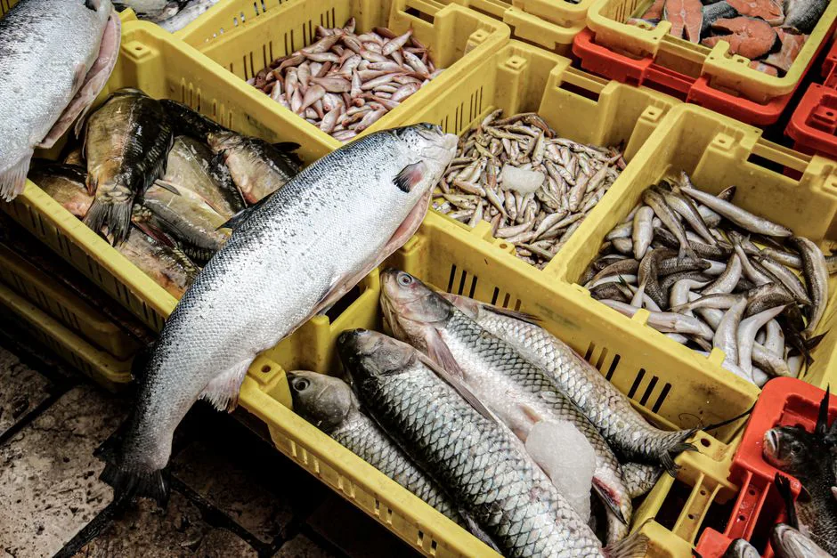 Foto: Karolína Balogová / pexels An array of fresh seafood including fish in colorful crates at a market in Israel.