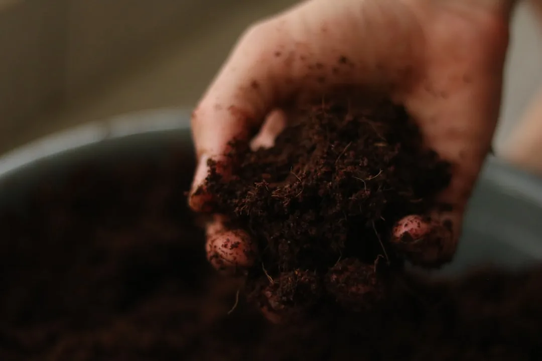 Foto: Alicia Christin Gerald / unsplash a person holding a handful of dirt in their hand