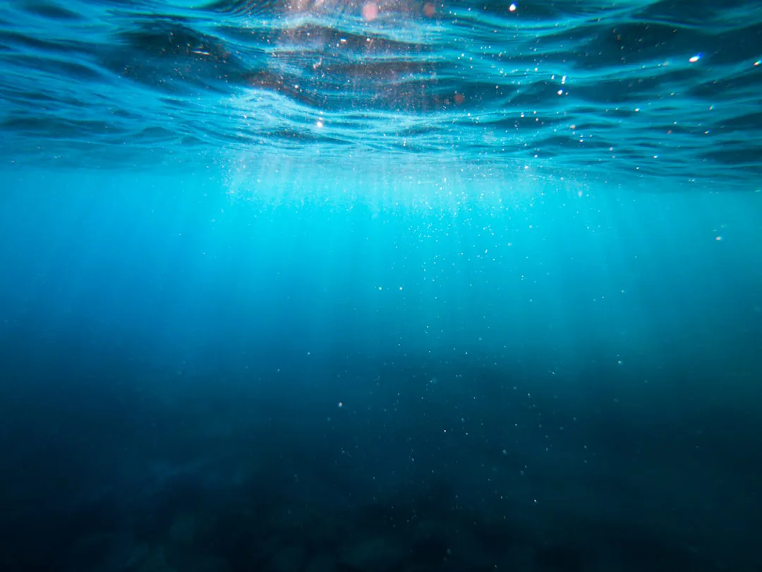Foto: Cristian Palmer / unsplash clear blue body of water