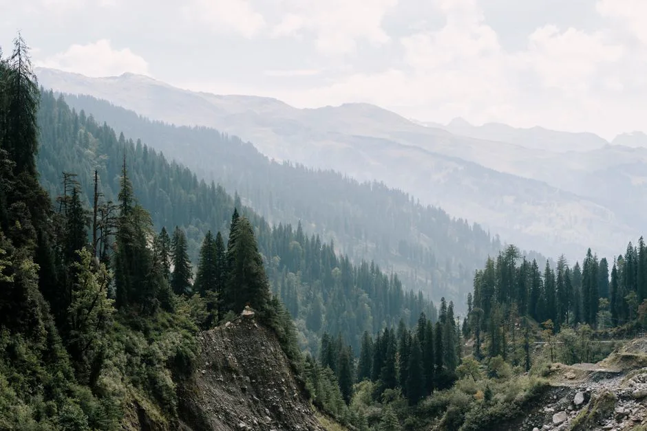Foto: Harsh Kukadiya / pexels Breathtaking view of lush mountains in Himachal Pradesh, showcasing stunning natural beauty.