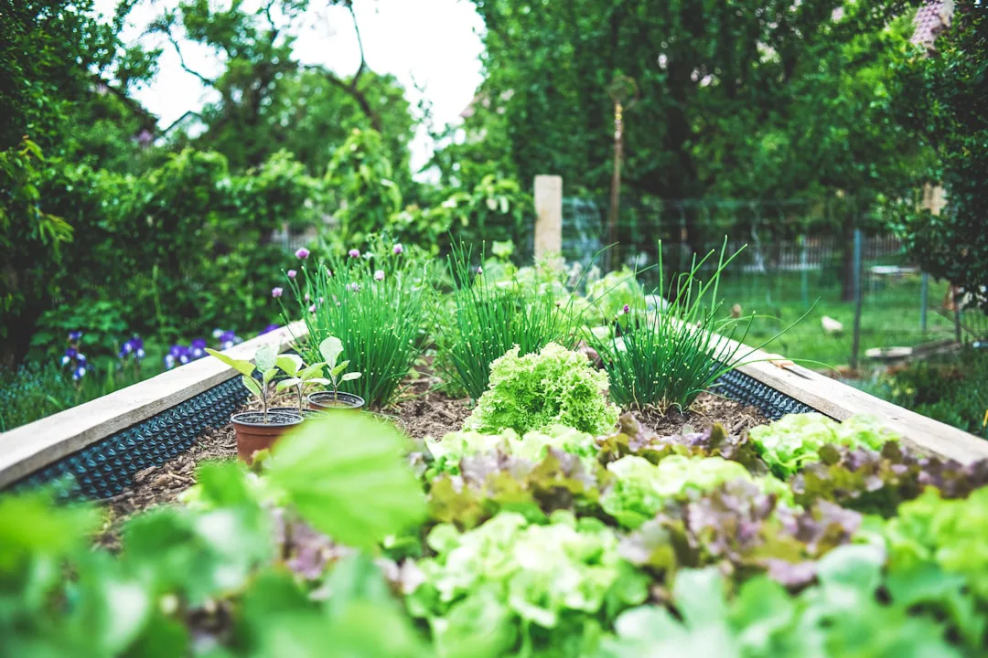 El riesgo oculto en tu huerto urbano: ¿Hay plomo en tus vegetales orgánicos?