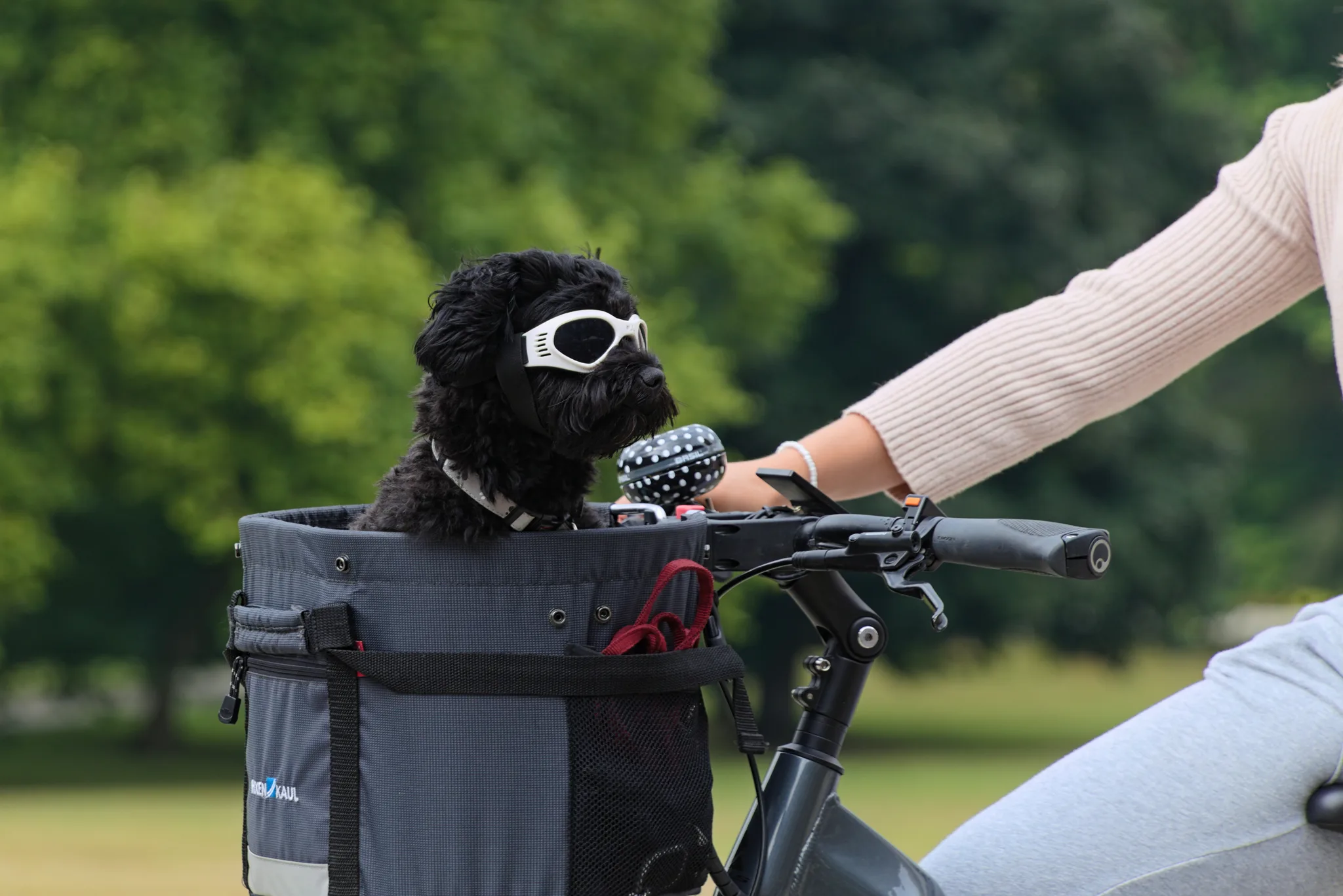 Ingenio sobre ruedas: un asiento de bici para llevar a tu perro